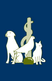 Göbel – van der Sluis